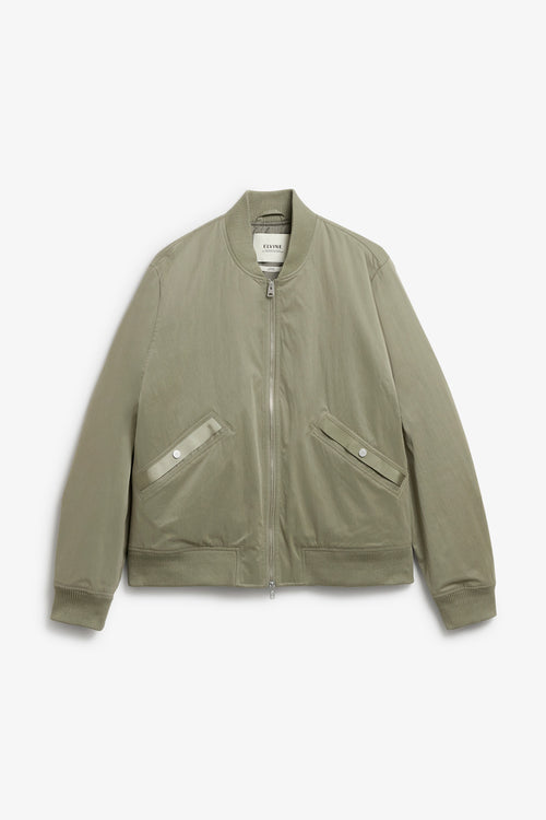Alde silver green