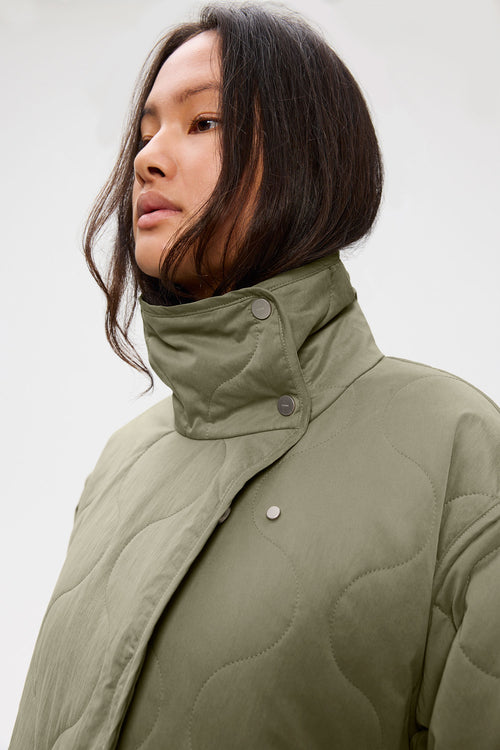 Caisa silver green