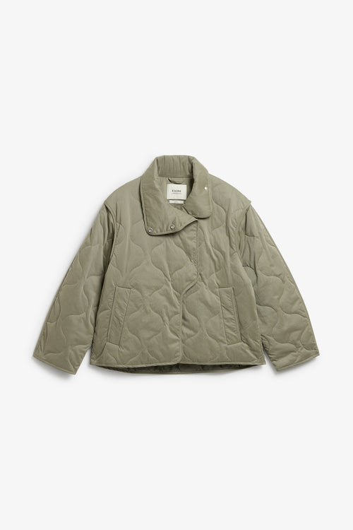Caisa silver green