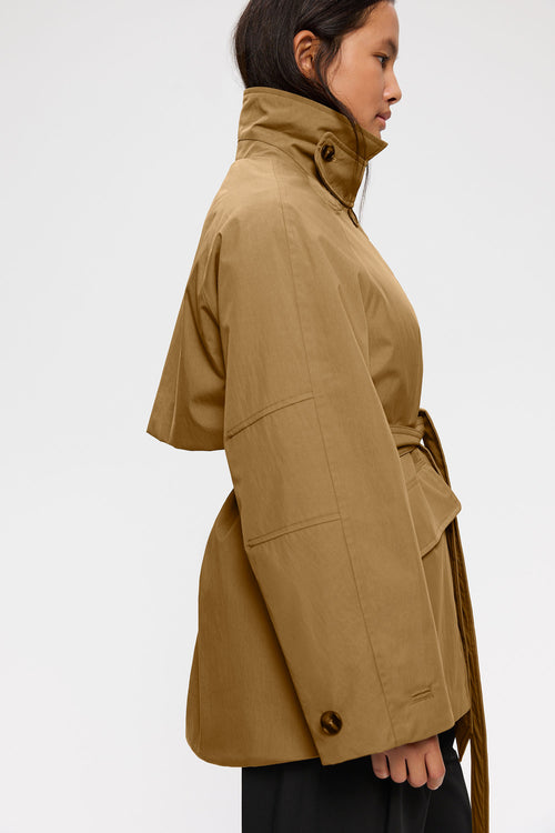 Roya bronze
